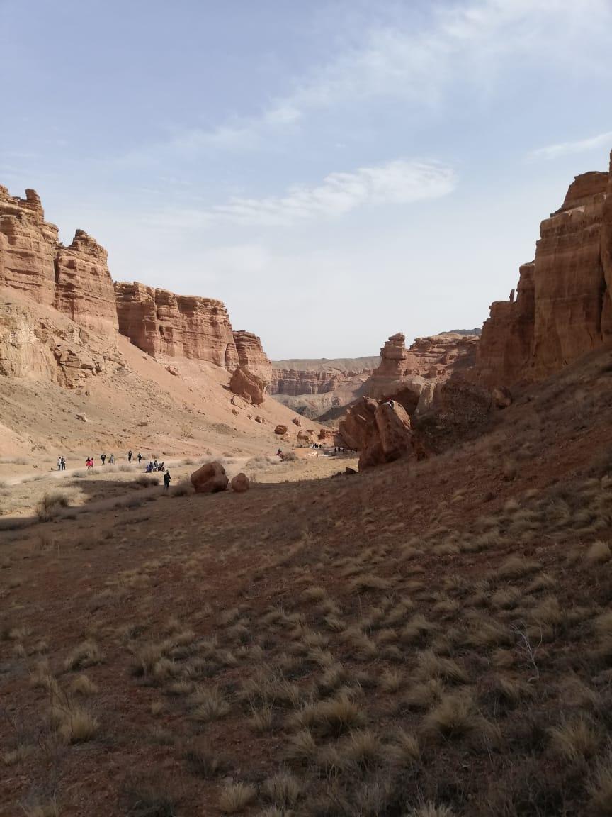 Фотоконкурс «Как прекрасен этот мир»