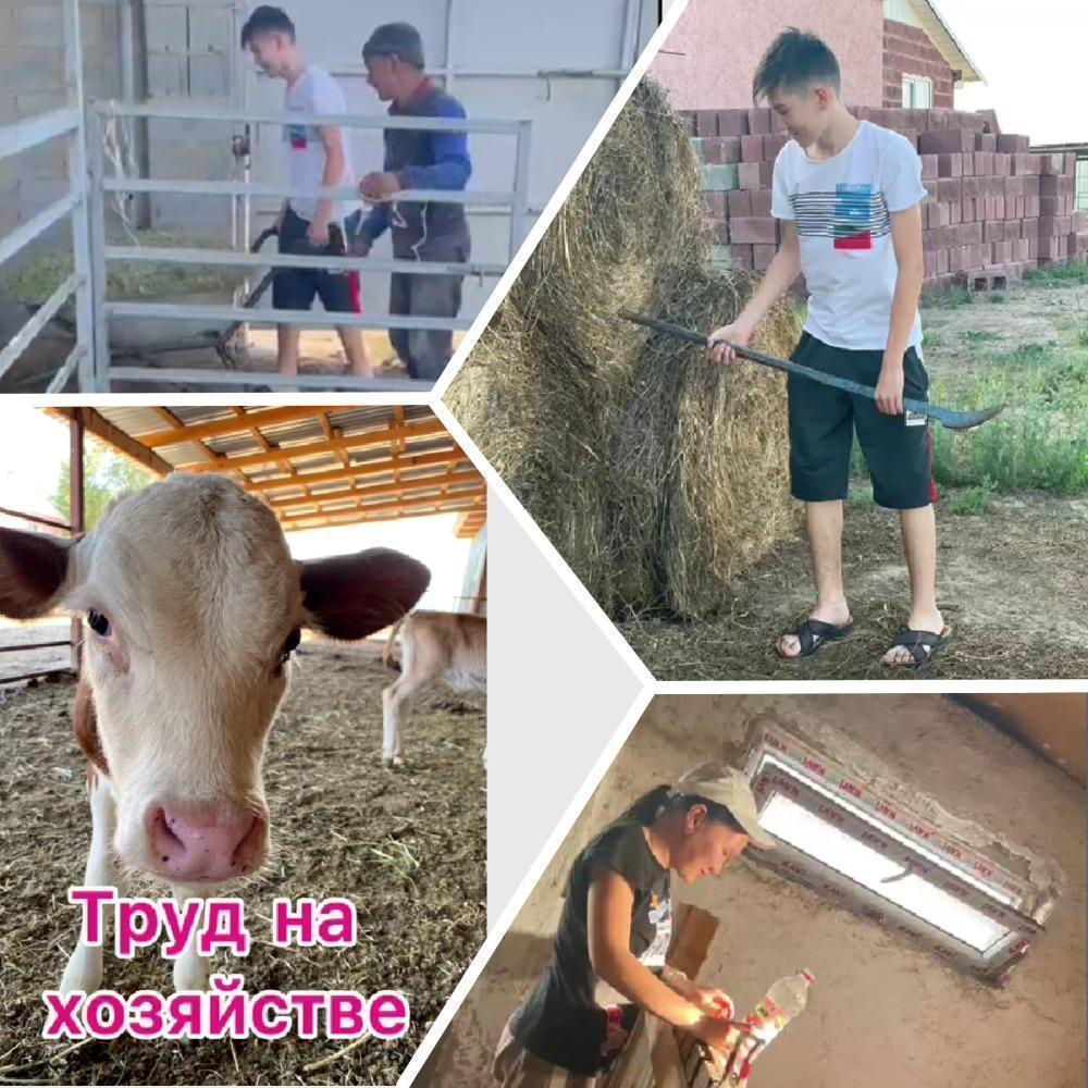 Трудовой десант