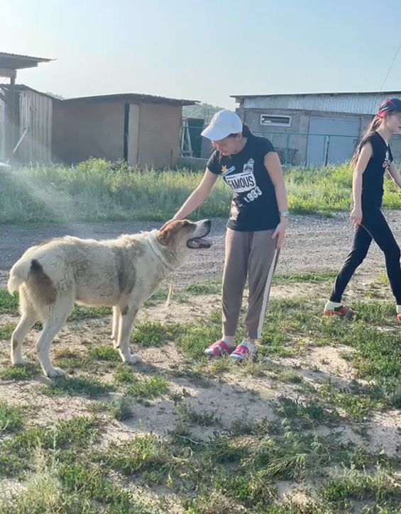 Территория доброты