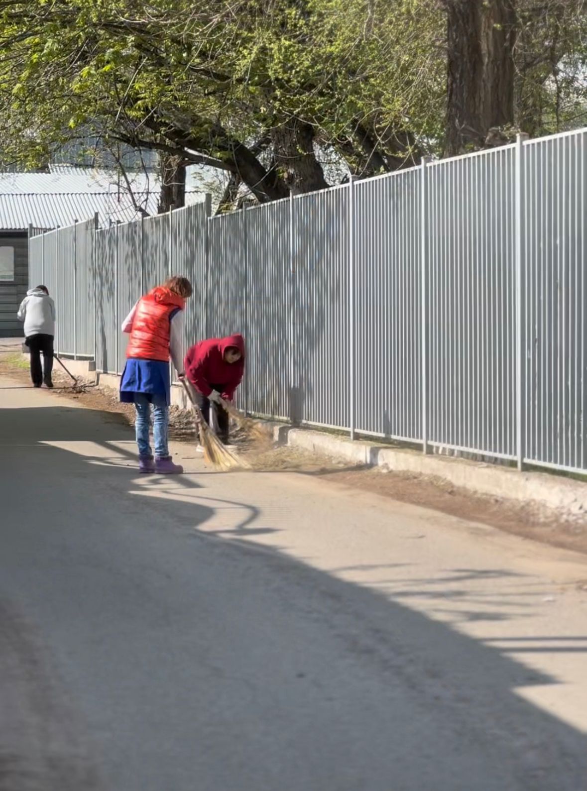 Жалпықалалық сенбілік