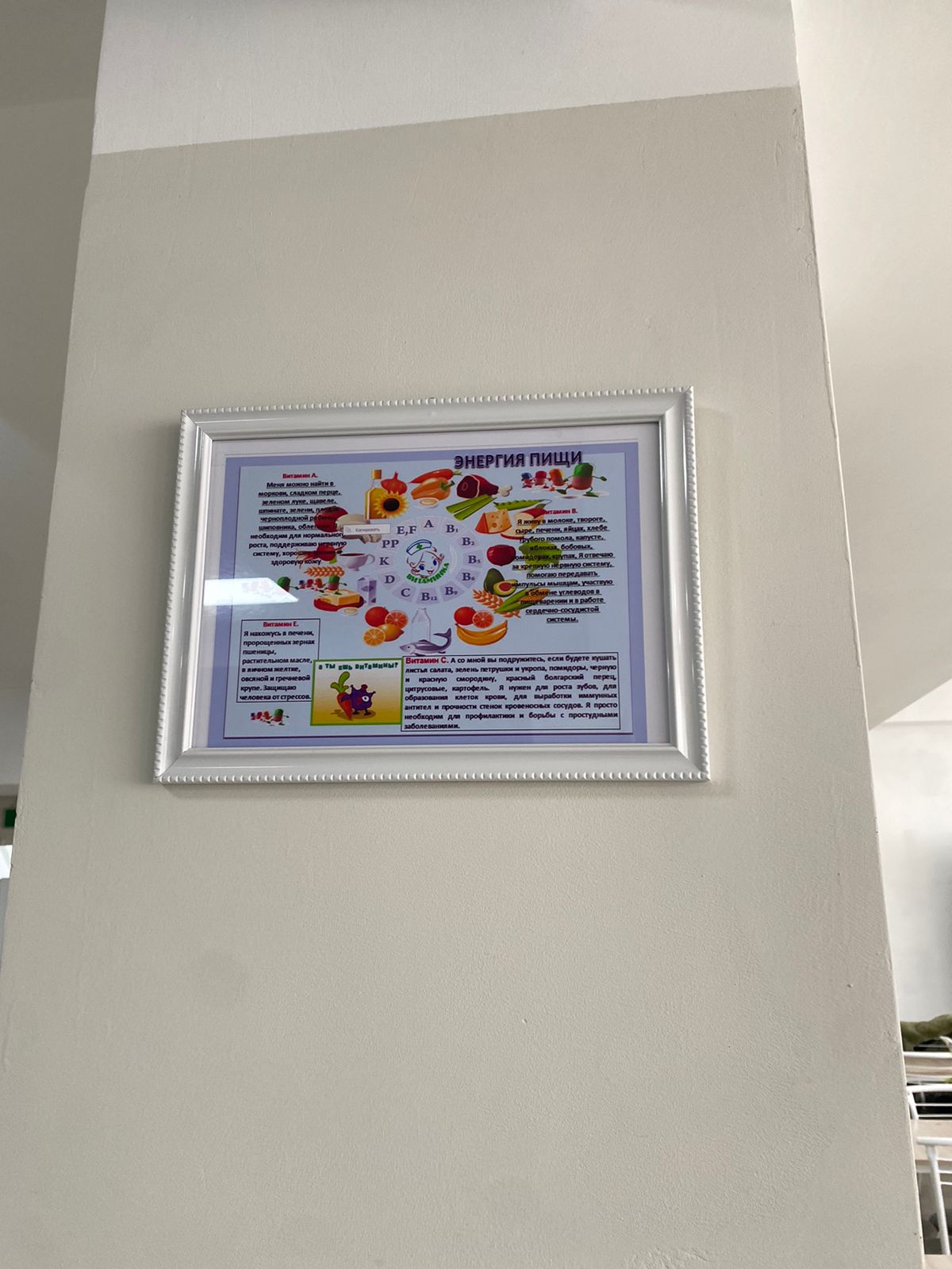 Пропаганда здорового питания